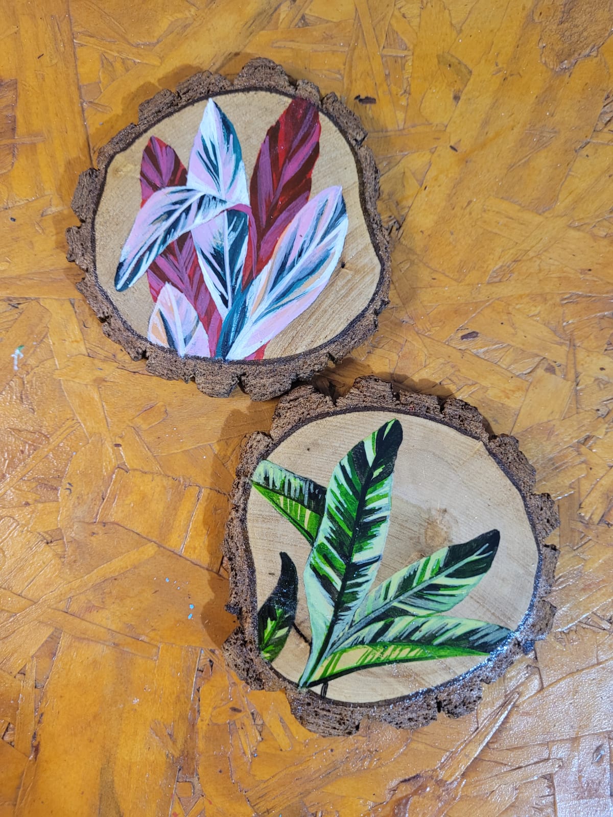 Bolacha de madeira porta copos - Folhagem Maranta